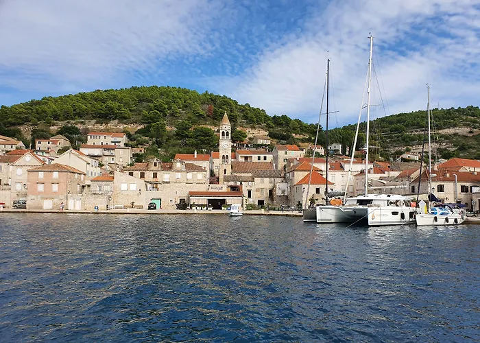 Violeta Hvar