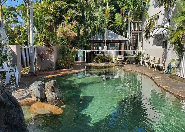 Reef Palms