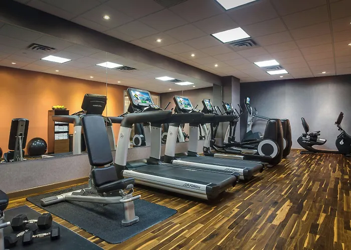 Courtyard By Marriott New York Jfk Airport
