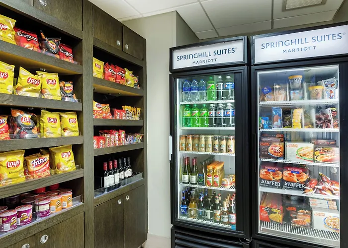 Springhill Suites By Marriott Miami Airport South Blue Lagoon Area