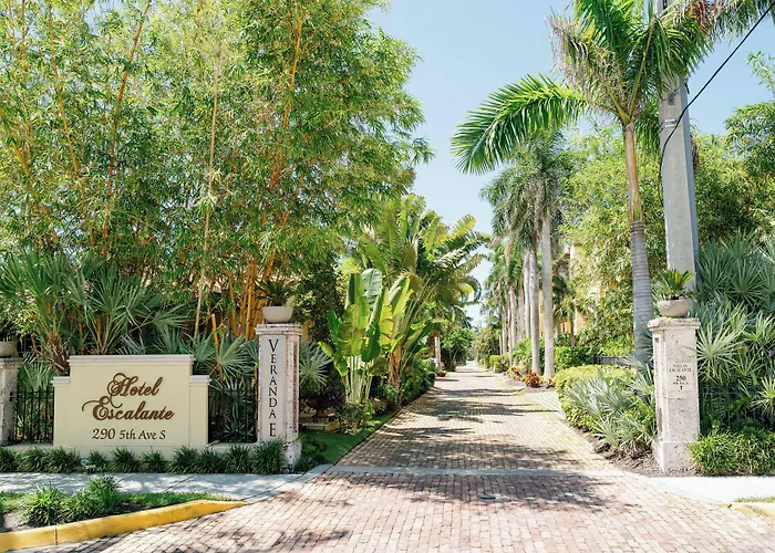 Pets Allowed Hotel Escalante