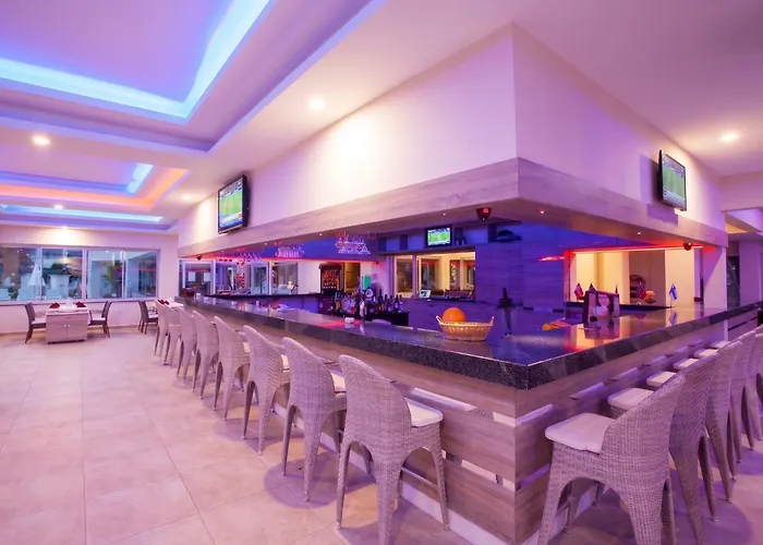 Catty Cats Garden Hotel