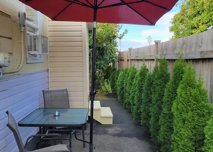 Сity center hotels Shady Willow Guest House - Small Indipendent Units With Seperate Entrance For Travellers