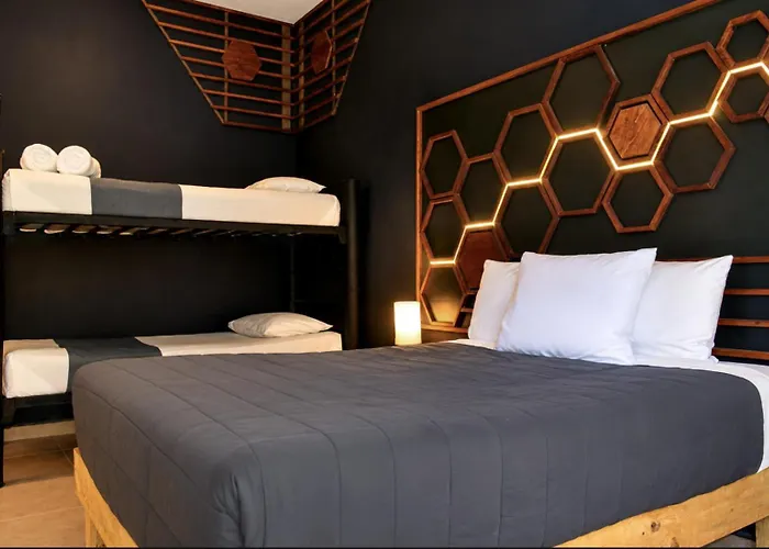 Perros hoteles Che Holbox & Bar Adults Only