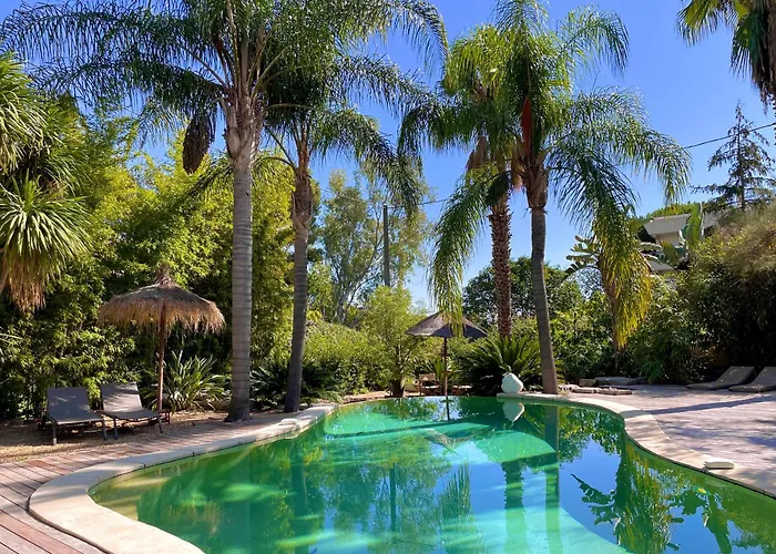 Animaux admis Villa St Barth