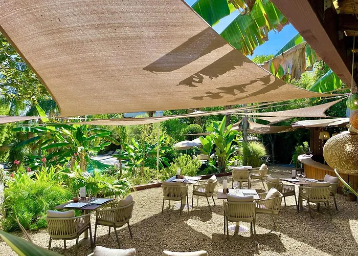 Animaux admis Villa St Barth