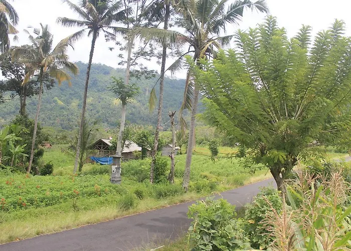 Lila Stana - Sidemen Homestay