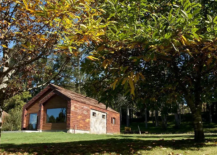 Patagonia Lefun