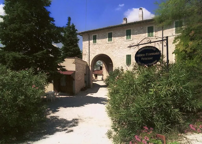 Agriturismo Antico Frantoio