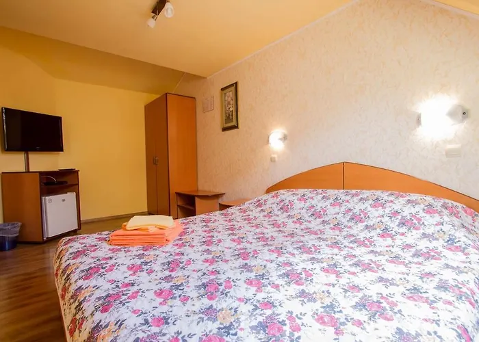 Pension Casa Timar
