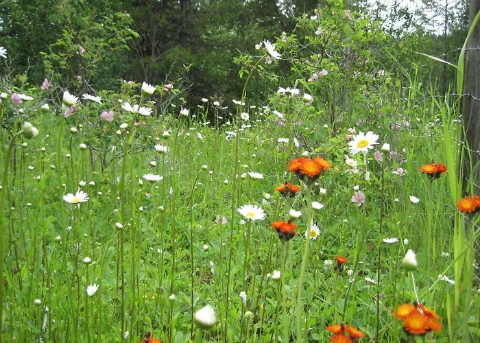 Wild Nature B&B