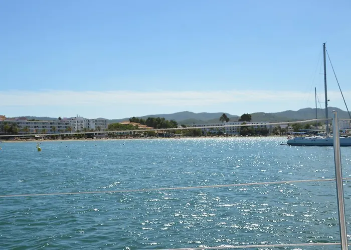 Perros hoteles Ibiza