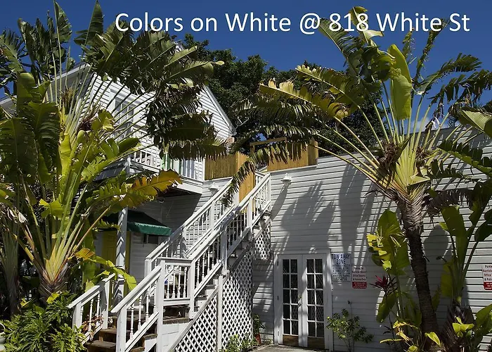Colors On White