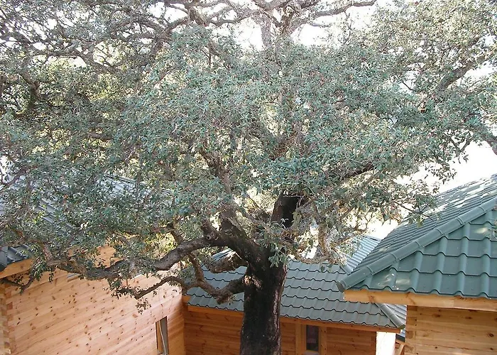 Villa privée: Albaria Lodge