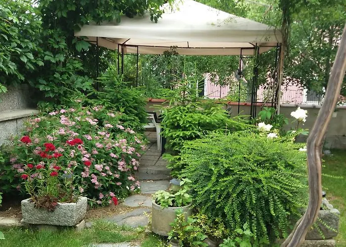 Stai Za Gosti Venera