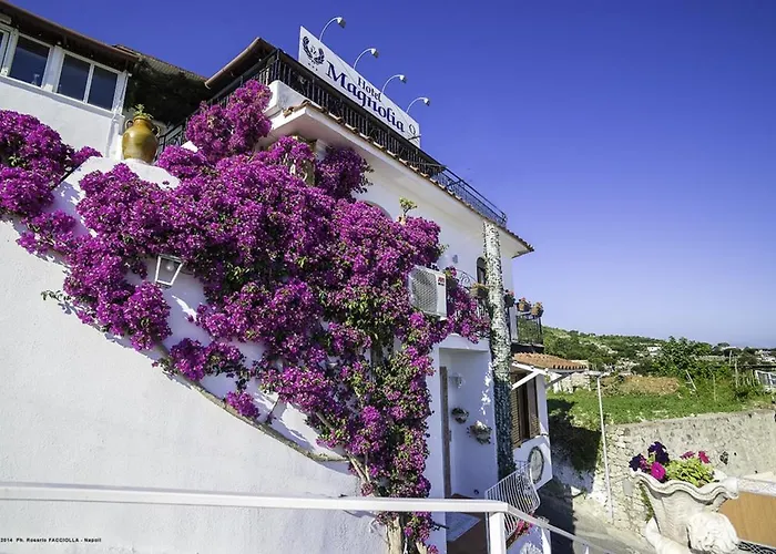 Hotel Magnolia