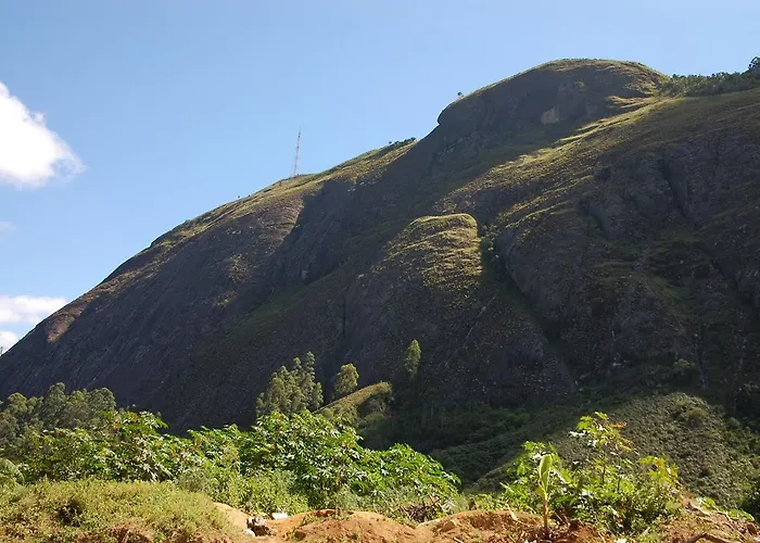 Canto dos Pássaros