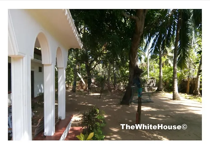 The White House