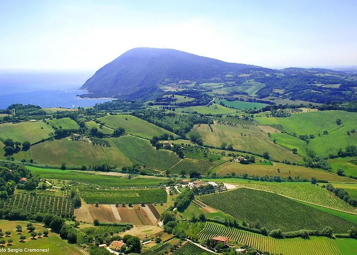 Agriturismo Le Vigne del Conero