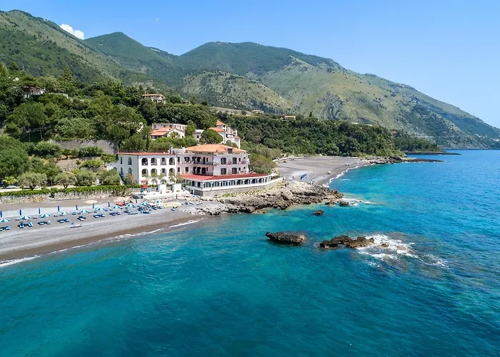 Gabbiano