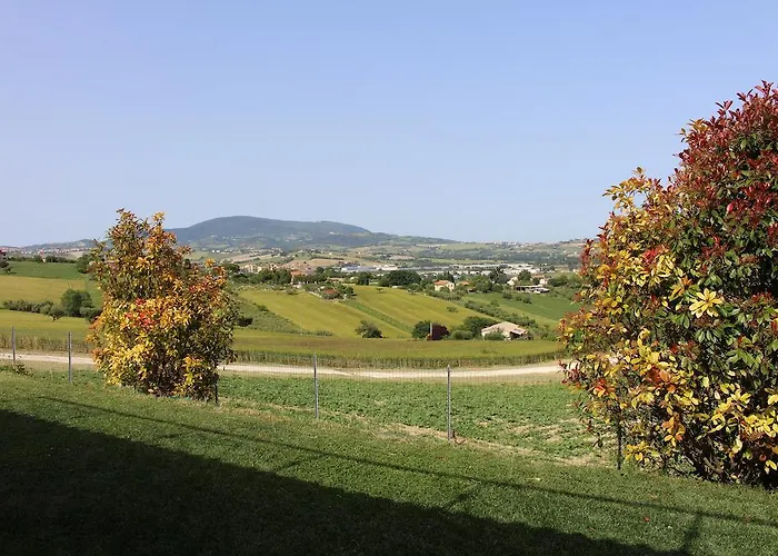 Villa Belvedere Degli Ulivi