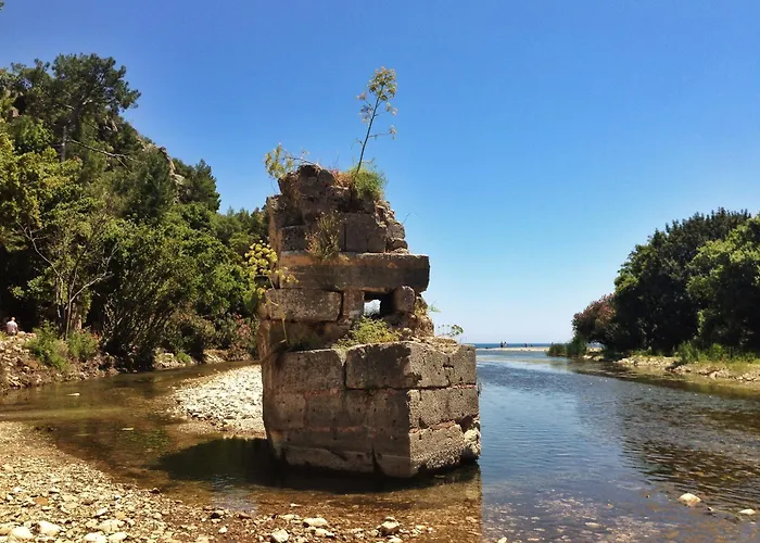 Kadir'S Top Tree Houses