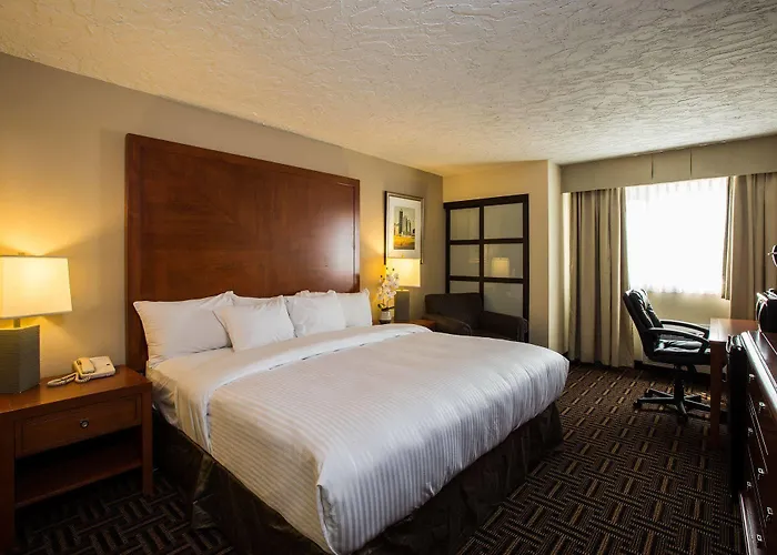 Family Friendly Hotels Wyndham Garden Medicine Hat Conference Center
