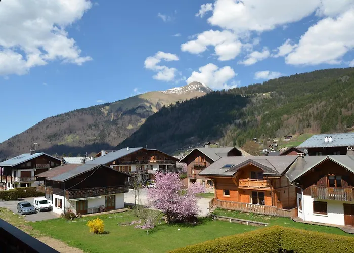 Hotel Les Bruyeres