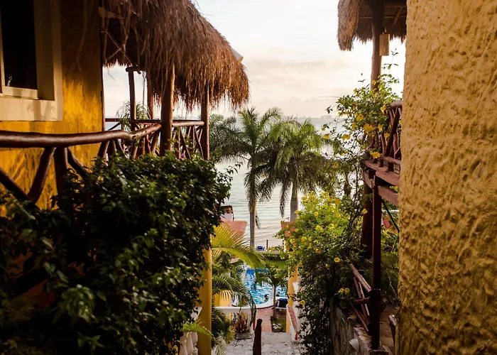 La Joya
