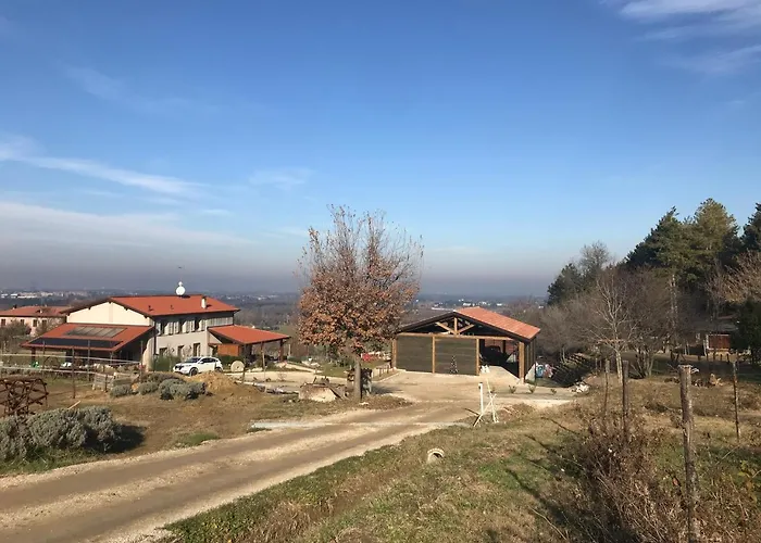 Fattoria Belvedere