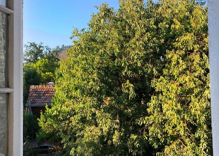 Alojamento com o café da manhã Apenas: Casa Ryan
