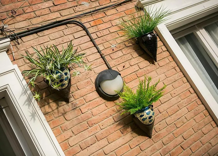 Hotel: Blanc Guest House