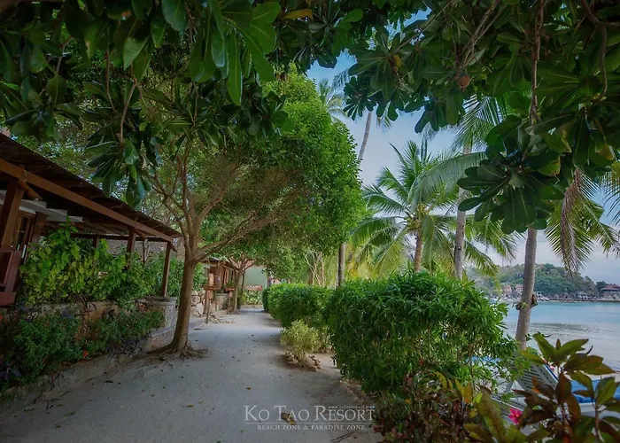 Ko Tao - Beach Zone
