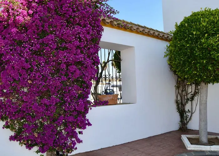Perros hoteles Puerta De Algadir