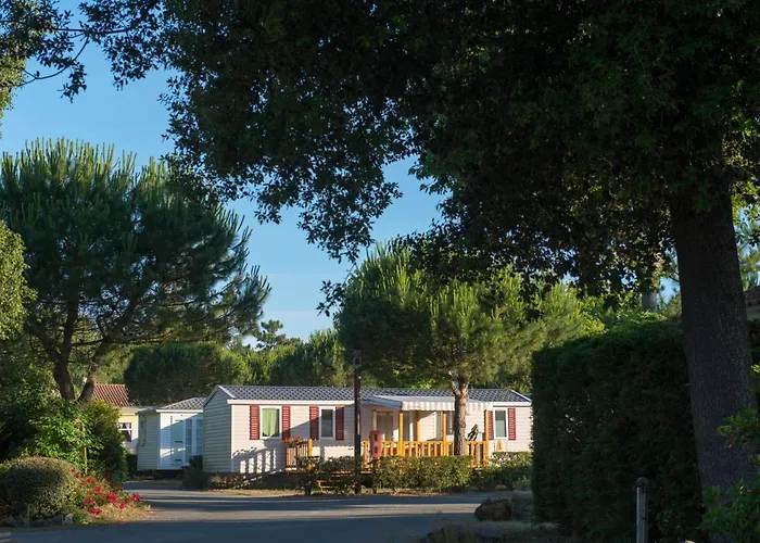 Camping Officiel Siblu Le Bois Dormant