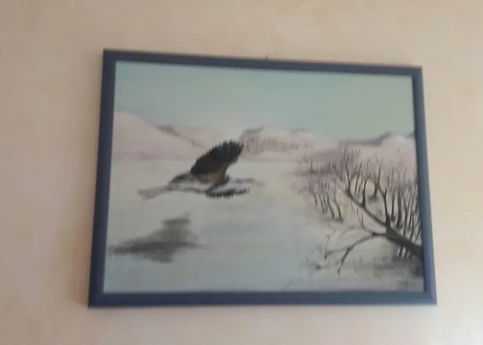  L'Airone