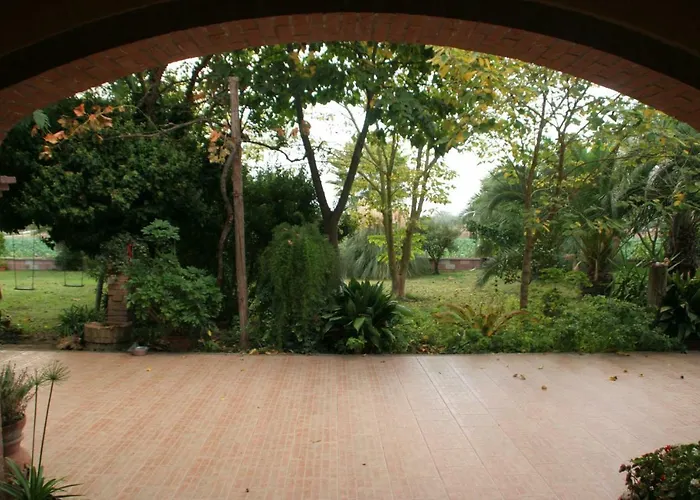 Diciocco