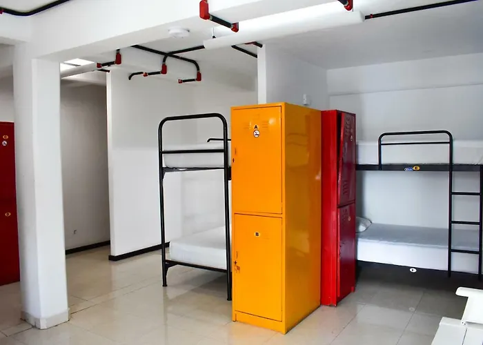 Hotel de praia: Tucan Hostel
