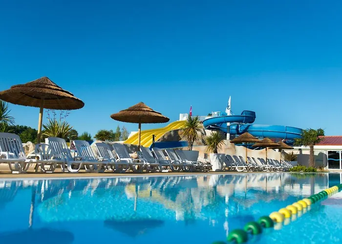 Hôtel accueillant les animaux: Camping Officiel Siblu Les Charmettes