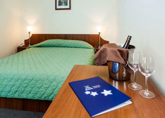 Hôtel avec vue: Hemus Hotel Sofia