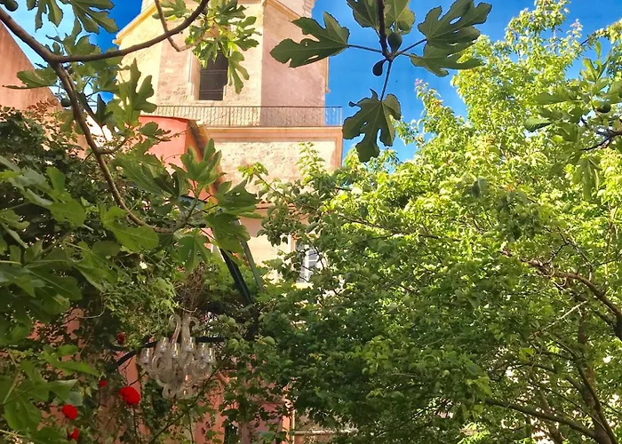 Pension de Famille Jardin Vieux Port Panier