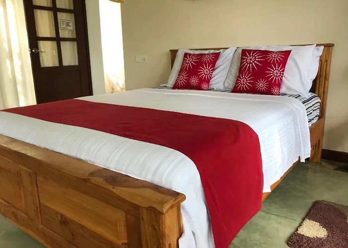 Bed and Breakfast Mount Haven