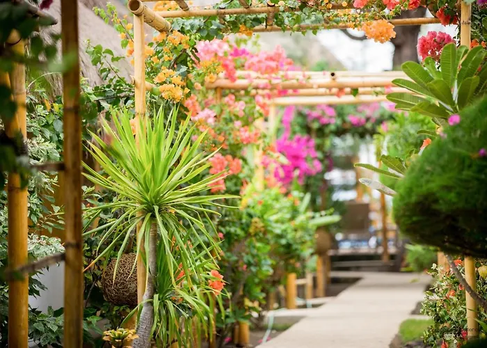 Kid friendly hotel Bambu Cottages